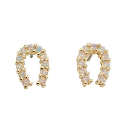 Crystal Horseshoe Earrings